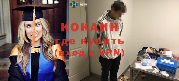 МДПВ Бородино