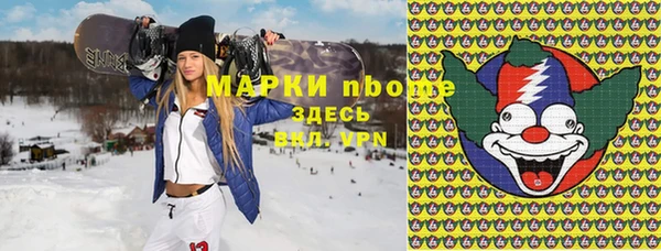 МДПВ Бородино