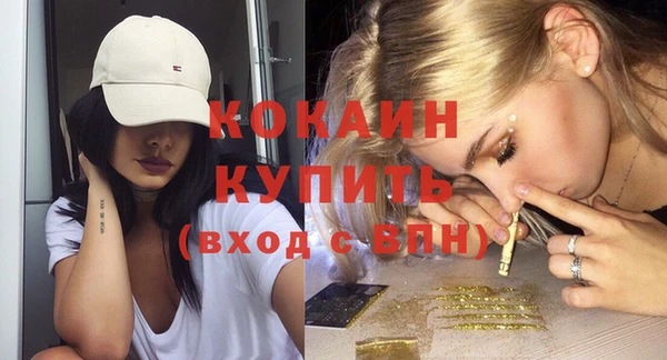 МДПВ Бородино