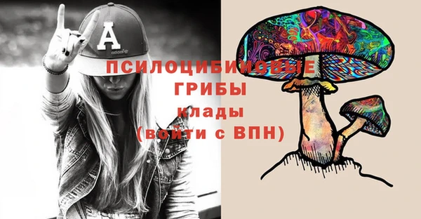 МДПВ Бородино