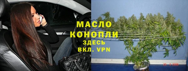 МДПВ Бородино