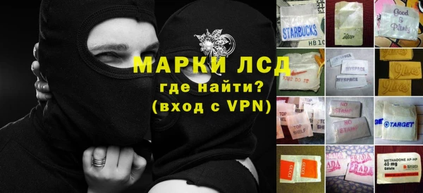 МДПВ Бородино