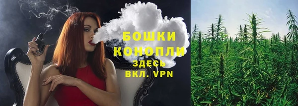 ешки Бронницы