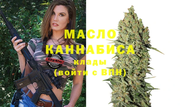 МДПВ Бородино