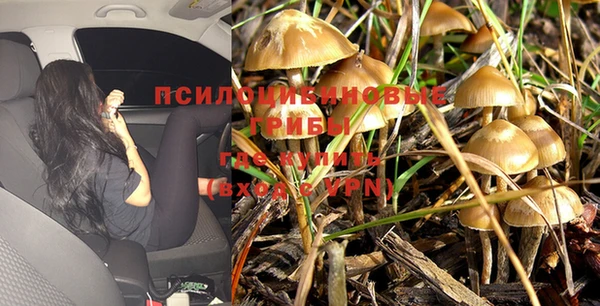 МДПВ Бородино