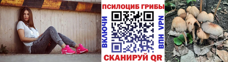 Галлюциногенные грибы ЛСД  Купить закладки  Николаевск 