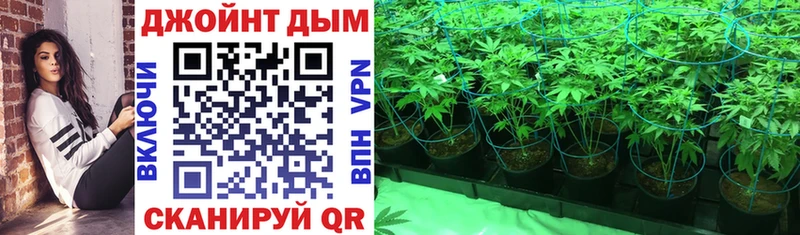 Купить  Николаевск  МАРИХУАНА VHQ 